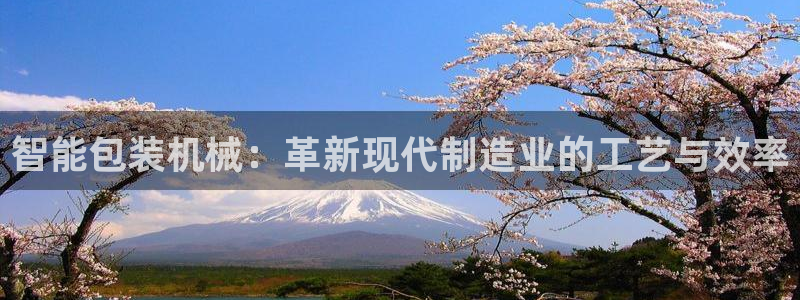 万事达娱乐指尖年