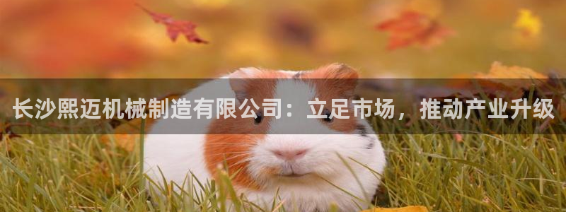 万事娱乐手机客户端