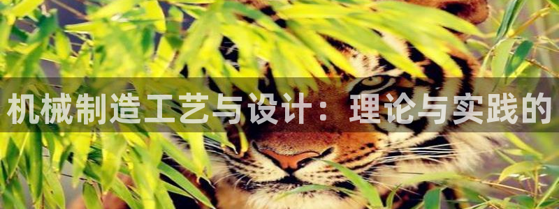 跟万事娱乐一样的平台