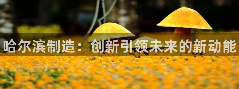 万事达娱乐登录