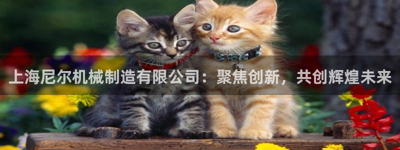 万事娱乐靠
