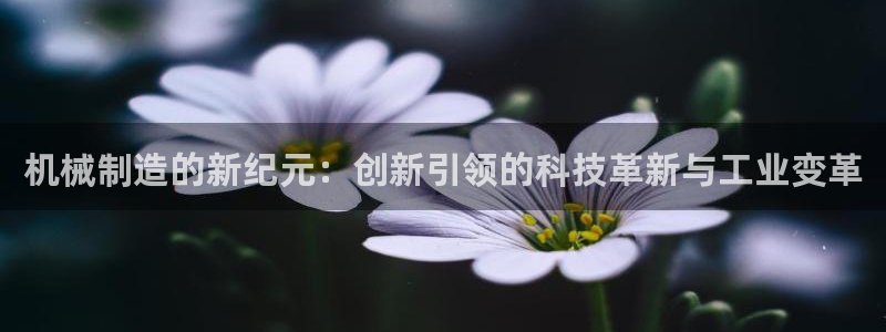 万事娱乐主管招聘要求