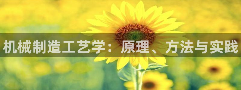 万事达娱乐吉55312