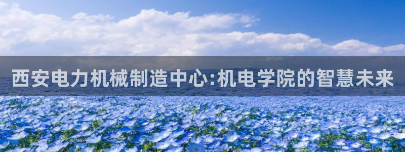 万事娱乐总裁简介