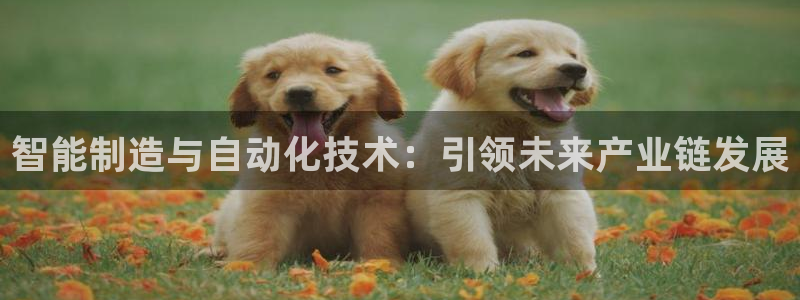 万事娱乐最高总代理