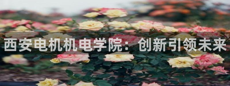 万事娱乐平台怎么样