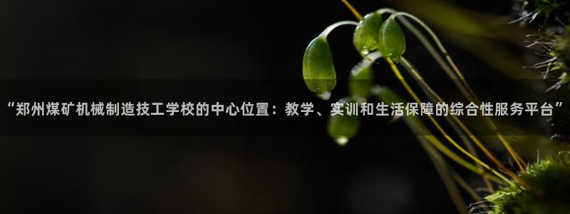 万事娱乐怎么拿代理