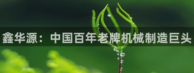 万事娱乐主管q