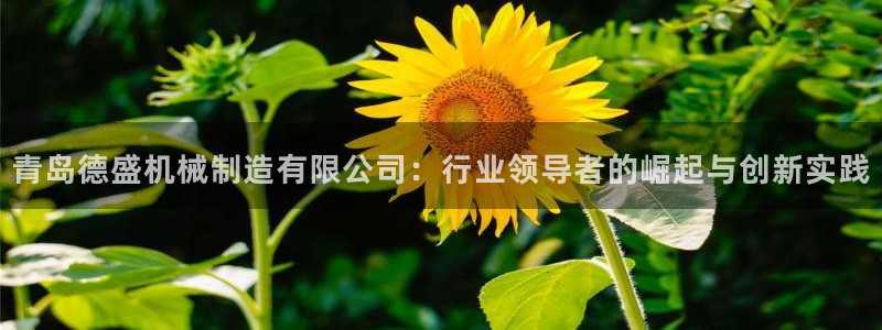 万事屋卡牌娱乐