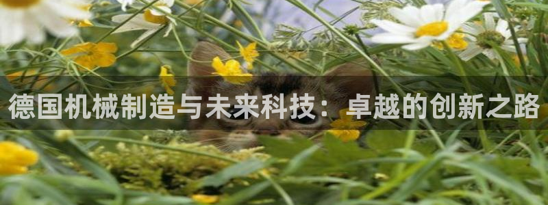 万事娱乐是什么