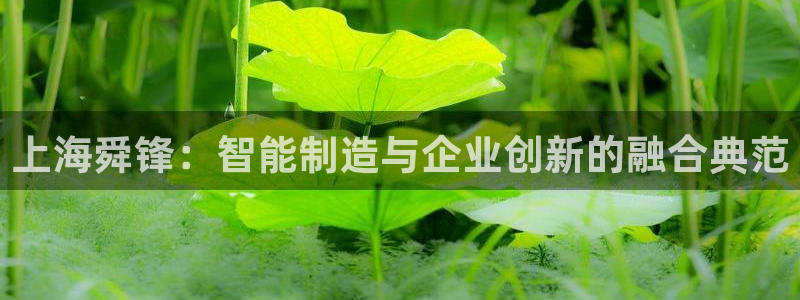 万事娱乐彩票官网