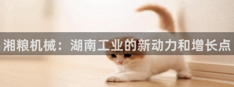 万事娱乐招商加盟电话