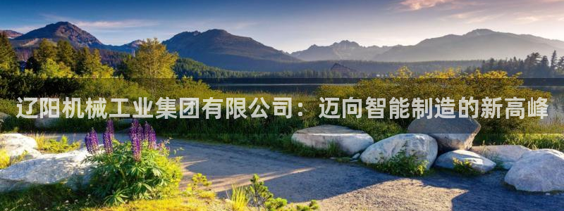 万事2娱乐怎么样