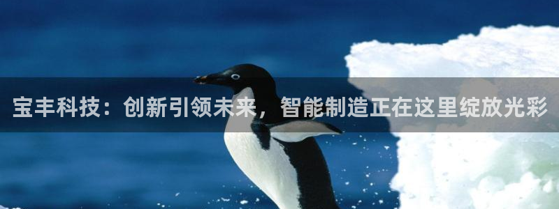 万事娱乐有漏洞么