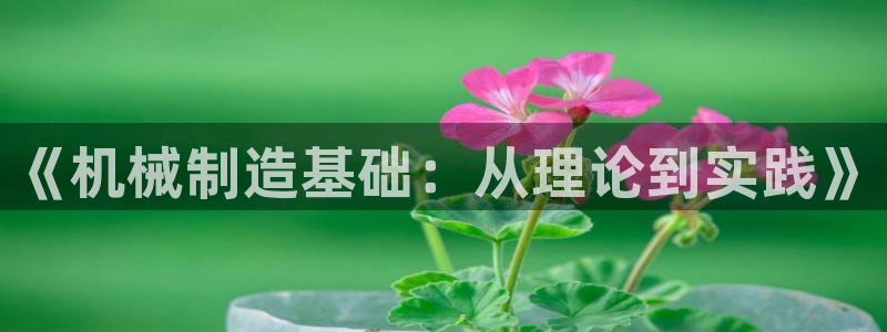 万事达娱乐吉55312
