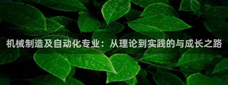 娱乐万事通直播