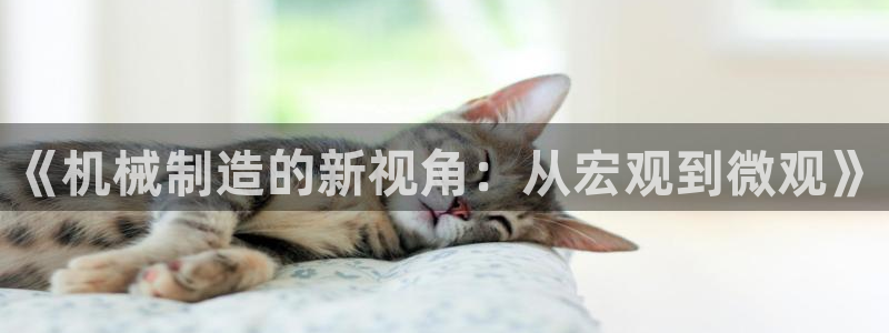 万事达娱乐t骧441200