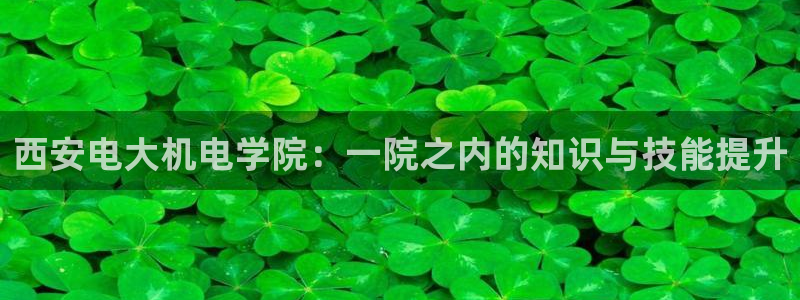 万事皆娱乐