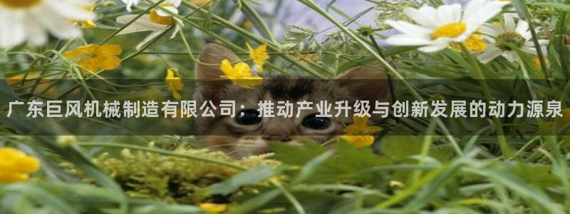 万事娱乐app官方认证