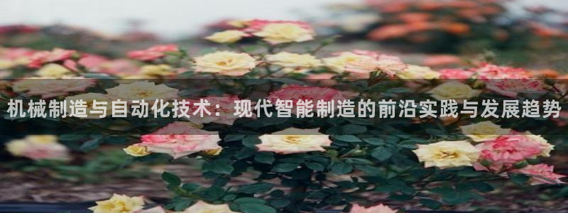 娱乐万事通直播