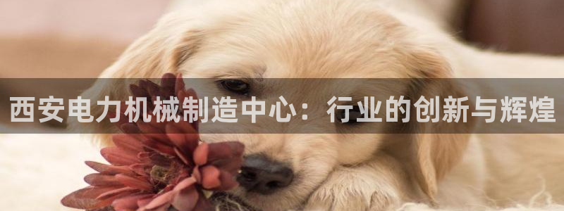 万事达娱乐娱乐注册