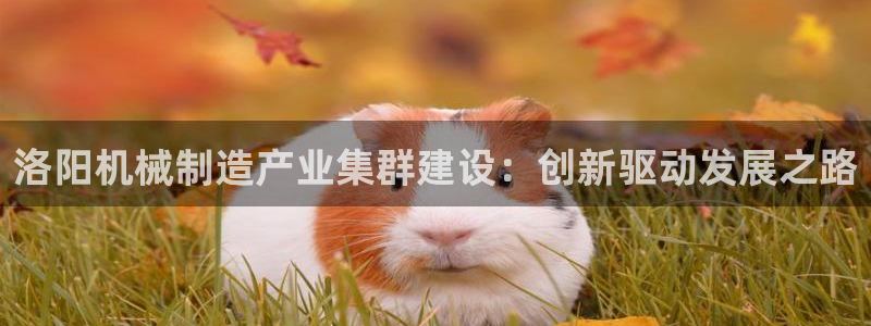 娱乐节目万事屋