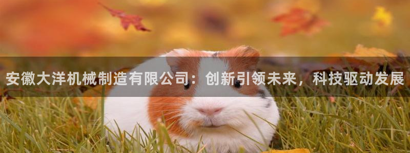 惠东万事达酒店娱乐