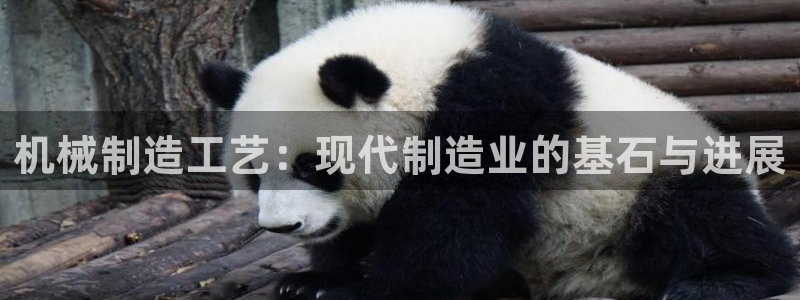 万事达娱乐代理