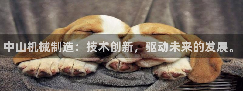 万事娱乐首页入口网址