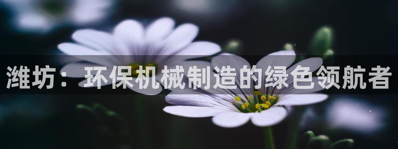 万事达娱乐登陆