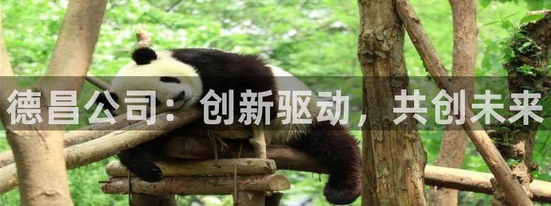 万事娱乐 找86555