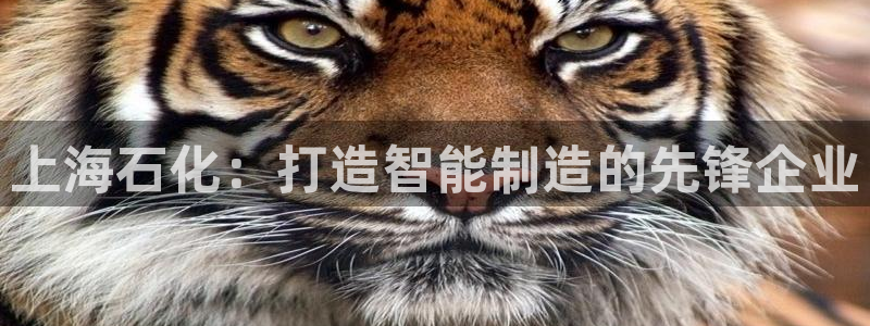 万事如意朋友娱乐