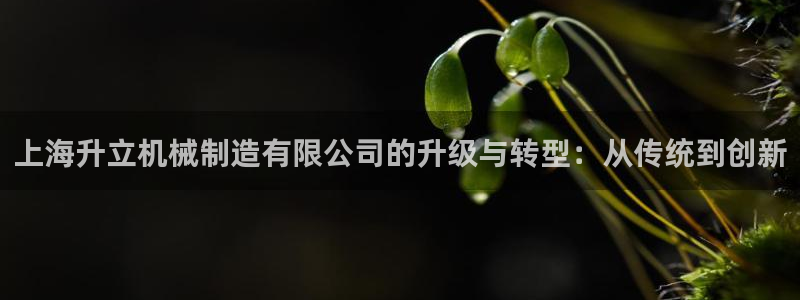 娱乐万事屋张宇