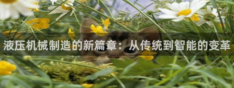 惠东万事达酒店娱乐