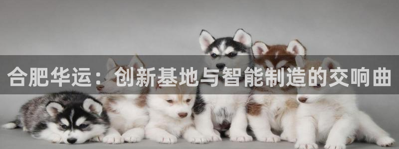 万事娱乐首页网